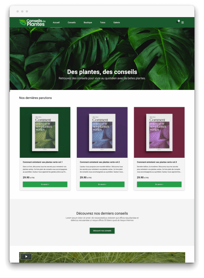 Créer application Blog plantes